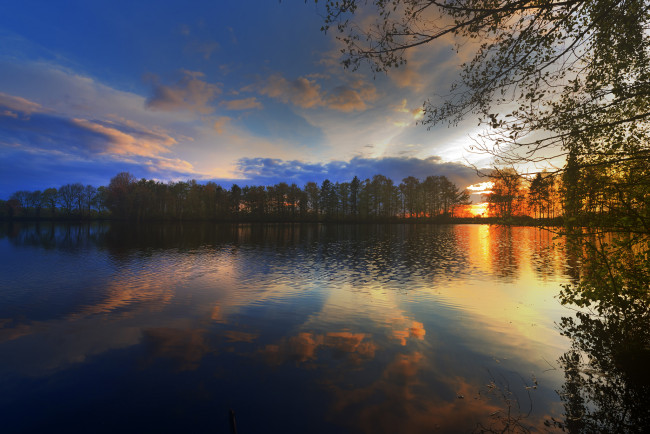 Обои картинки фото природа, реки, озера, лес, река