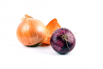 Картинка еда лук луковицы репчатый