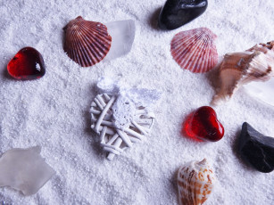 Картинка разное ракушки +кораллы +декоративные+и+spa-камни