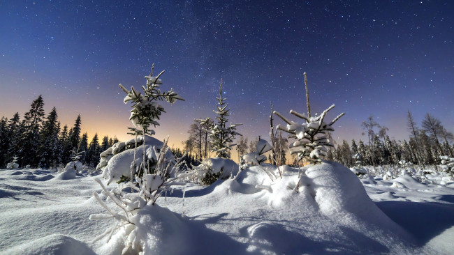 Обои картинки фото природа, зима, снег, сугробы