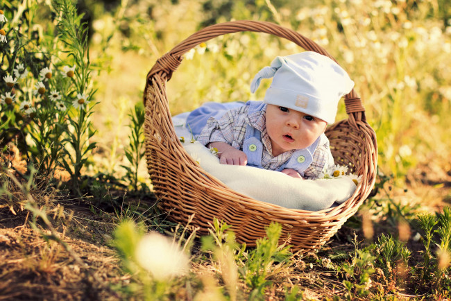 Обои картинки фото разное, дети, ребенок, корзина