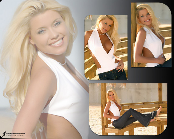 Обои картинки фото Brandie Moses, девушки