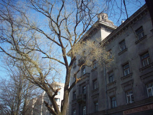 Картинка рига города латвия