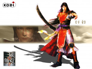 Картинка видео игры dynasty warriors