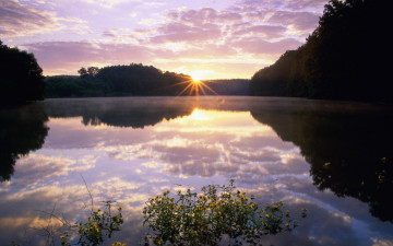 Картинка природа