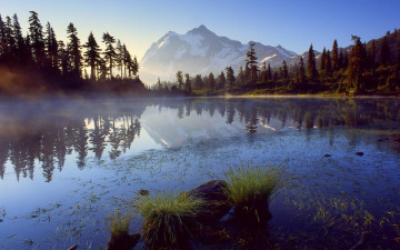 Картинка природа