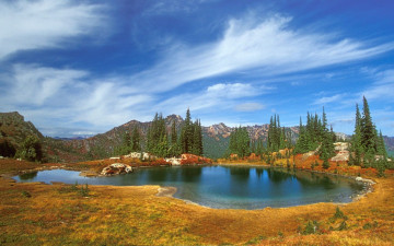 Картинка природа