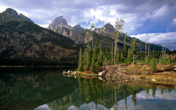 Картинка природа