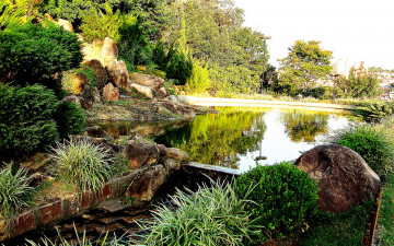 Картинка природа парк