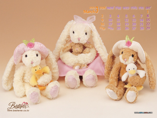 Обои картинки фото бренды, bestever