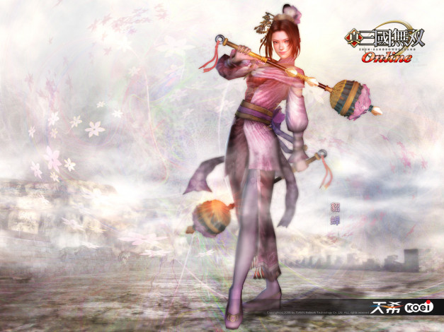 Обои картинки фото видео, игры, shin, sangokumusou