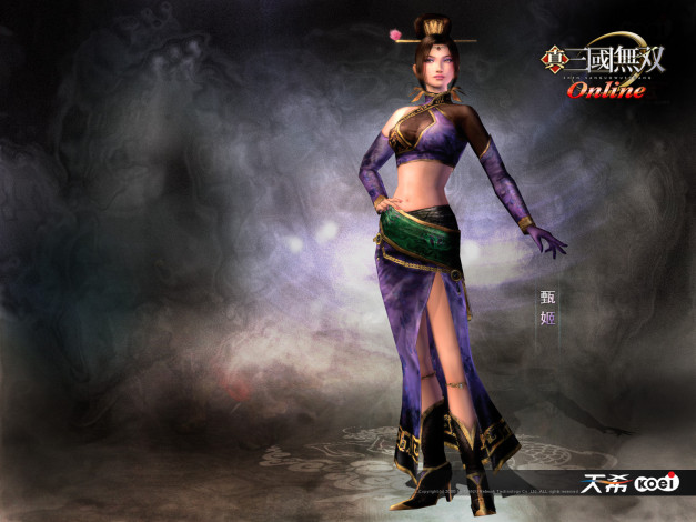 Обои картинки фото видео, игры, shin, sangokumusou