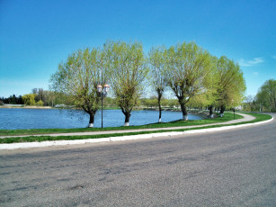 Картинка драбов природа дороги