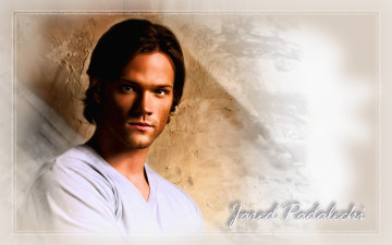 Картинка jared padalecki мужчины