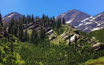 Картинка природа горы