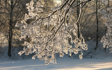 Картинка природа зима