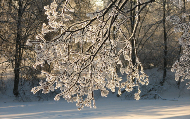 Обои картинки фото природа, зима