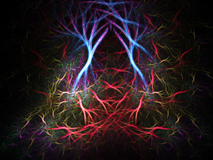 Картинка 3д графика fractal фракталы узор цвета