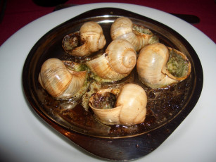 Картинка еда рыба морепродукты суши роллы устрицы