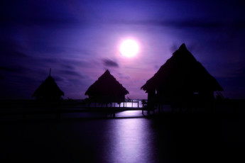 Картинка природа восходы закаты ночь луна бунгало