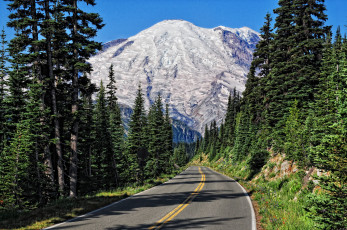 Картинка природа дороги горы лес деревья трасса