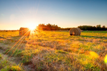 Картинка природа поля солнце