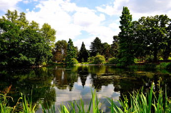 Картинка природа реки озера озеро