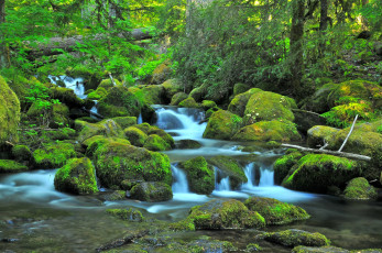 Картинка природа реки озера течение вода поток