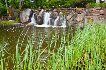 Картинка природа водопады течение трава вода
