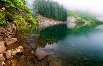 Картинка природа реки озера вода берег