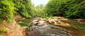 Картинка природа реки озера вода камни лес