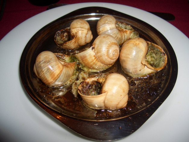 Обои картинки фото еда, рыба, морепродукты, суши, роллы, устрицы