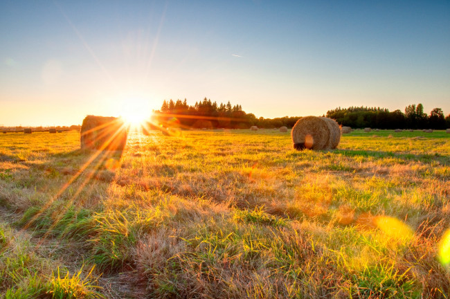 Обои картинки фото природа, поля, солнце