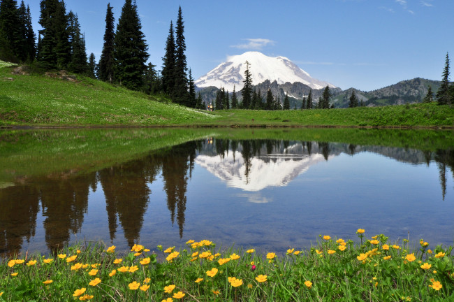 Обои картинки фото природа, реки, озера, снежные, вершины, вода, деревья, пейзаж