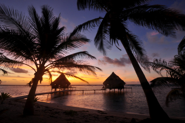 Обои картинки фото природа, тропики, пальмы, пляж, бунгало, вечер, отдых, побережье, берег, океан