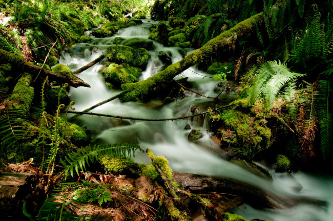 Обои картинки фото природа, вода, течение, камни