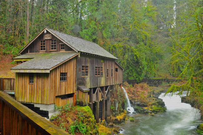 Обои картинки фото разное, мельницы, деревья, река, лес