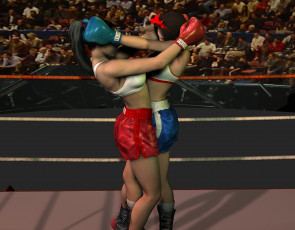 Картинка 3д графика people люди бокс ринг