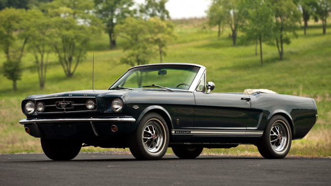 Обои картинки фото mustang, автомобили, сша, ford, motor, company