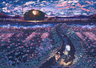 Картинка аниме *unknown+ другое парень велосипед собака закат поля небо облака свет природа дом