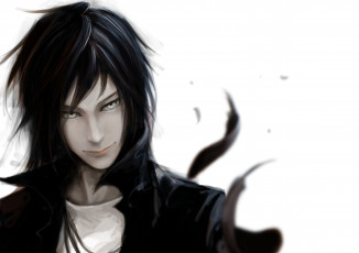 Картинка аниме *unknown+ другое парень арт перья лицо белый фон