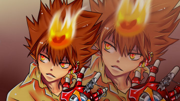 Картинка аниме katekyo+hitman+reborn перчатки серьёзность вангола босс взгляд десятый мафиози реборн учитель спокойствие тцунаёши савада