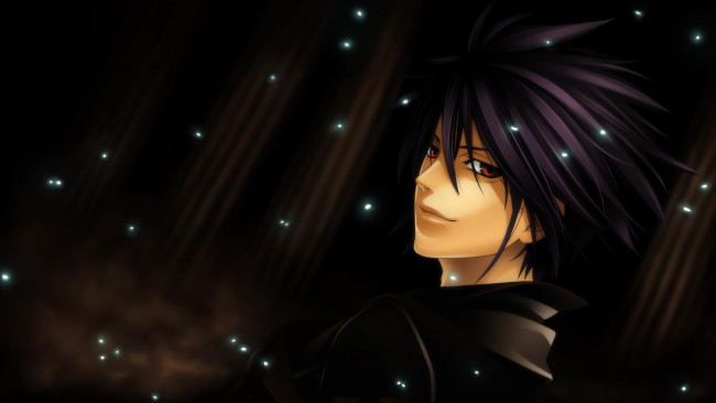 Обои картинки фото аниме, hiiro no kakera, парень, арт