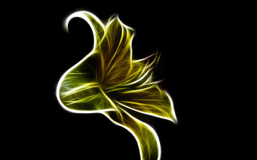 Картинка 3д+графика цветы+ flowers лепестки фон