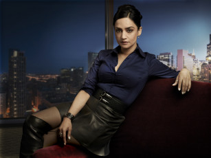 Картинка кино+фильмы the+good+wife персонаж