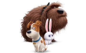 Картинка мультфильмы the+secret+life+of+pets the secret life of pets