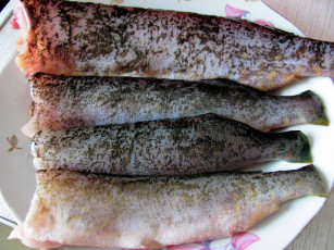 Картинка еда рыба +морепродукты +суши +роллы щука