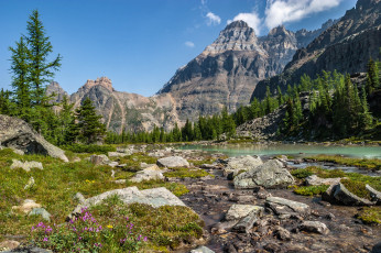 Картинка природа горы скалы