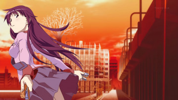 Картинка аниме bakemonogatari фон взгляд девушка