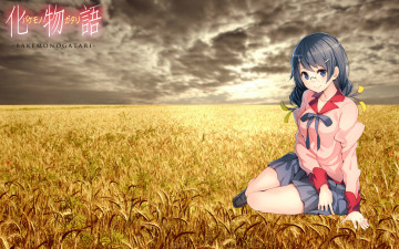 Картинка аниме bakemonogatari девушка взгляд фон